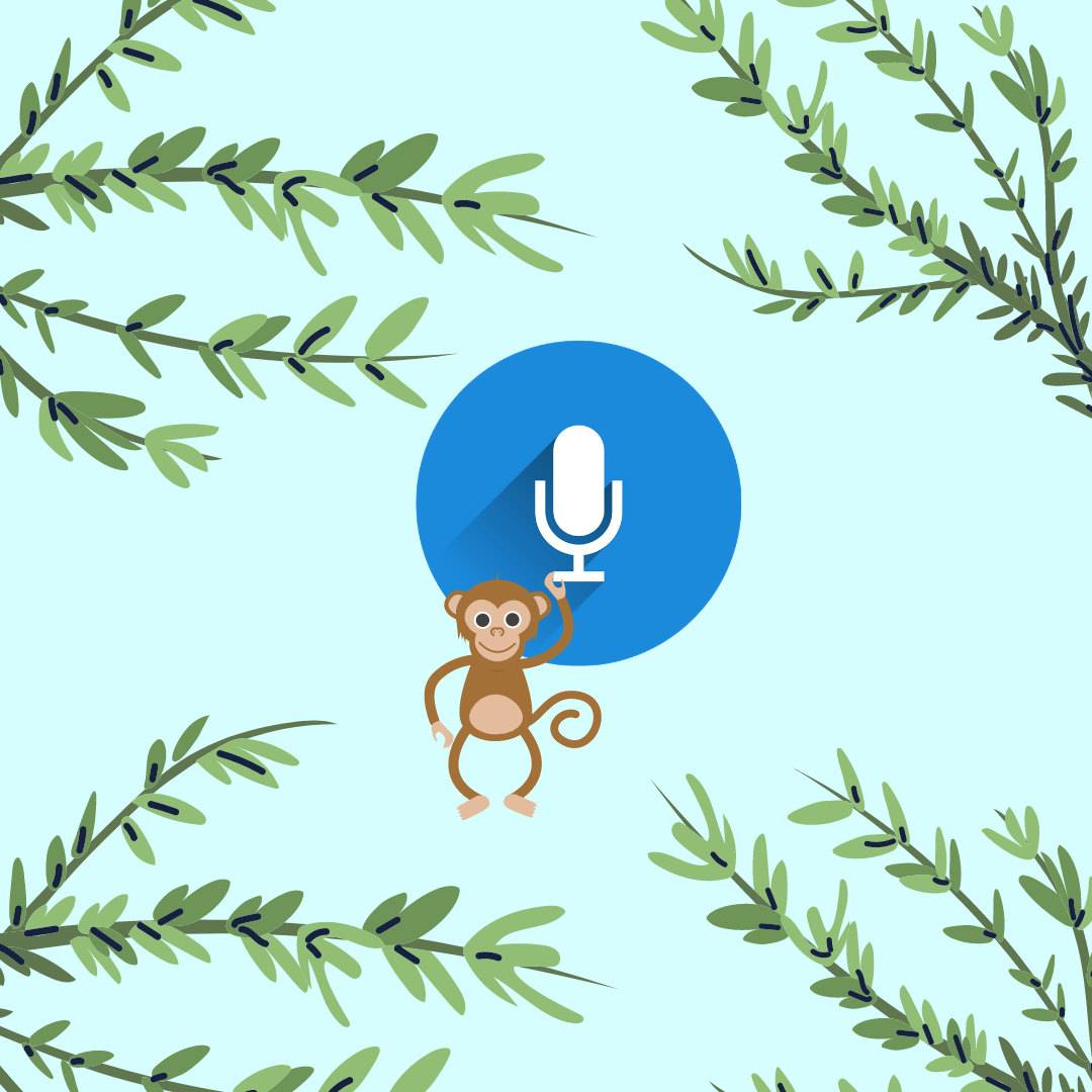 Introducing the Arabic Book A Month Podcast!