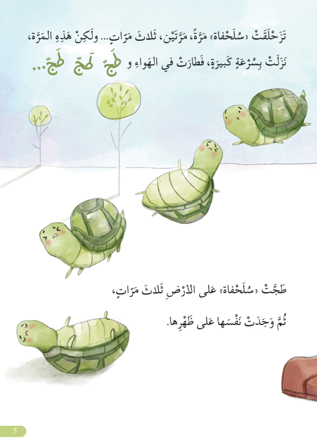 The turtle's journey/ مشوار السلحفاة