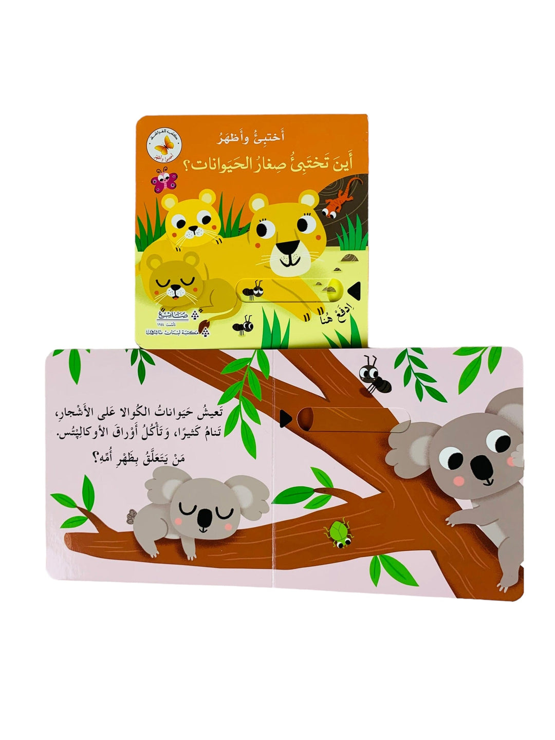 Hide& Seek - Where the small animals Hide ? /أختبئ وأظهر_ أين تختبئ صغار الحيوانات