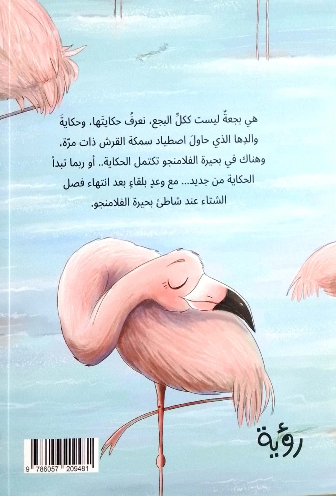 A Swan in The Flamingo Lake /بجعة في بحيرة الفلامنجو