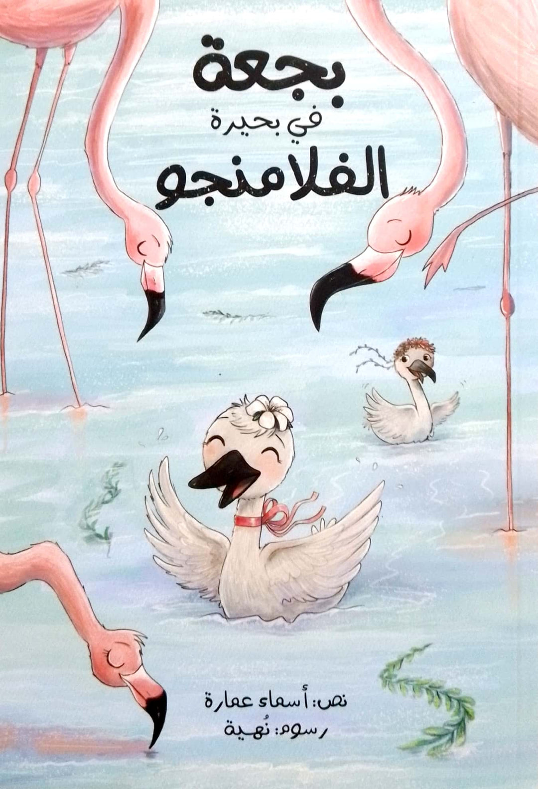 A Swan in The Flamingo Lake /بجعة في بحيرة الفلامنجو