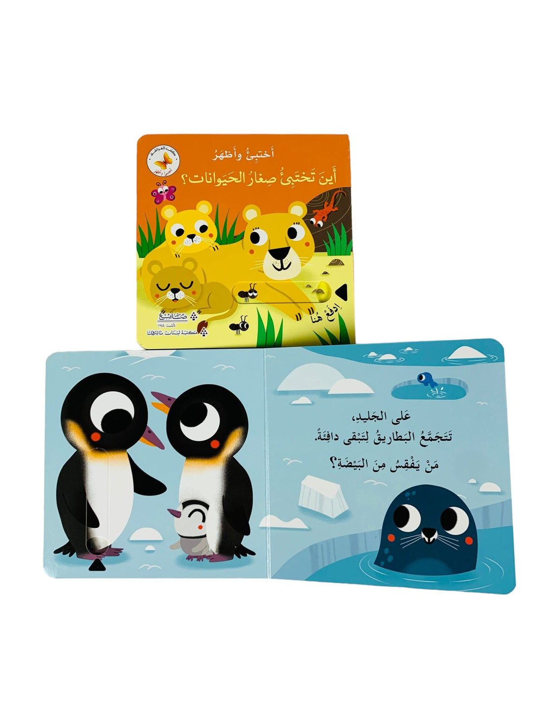 Hide& Seek - Where the small animals Hide ? /أختبئ وأظهر_ أين تختبئ صغار الحيوانات