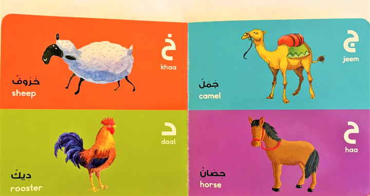 Ideal for children growing up with two languages, it makes learning Arabic easy and enjoyable.