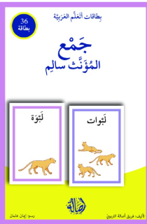 Feminine Plural/ جمع المؤنث السالم