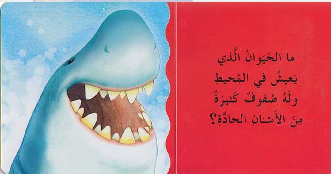 Whose Teeth /  أسنان من هذه ؟