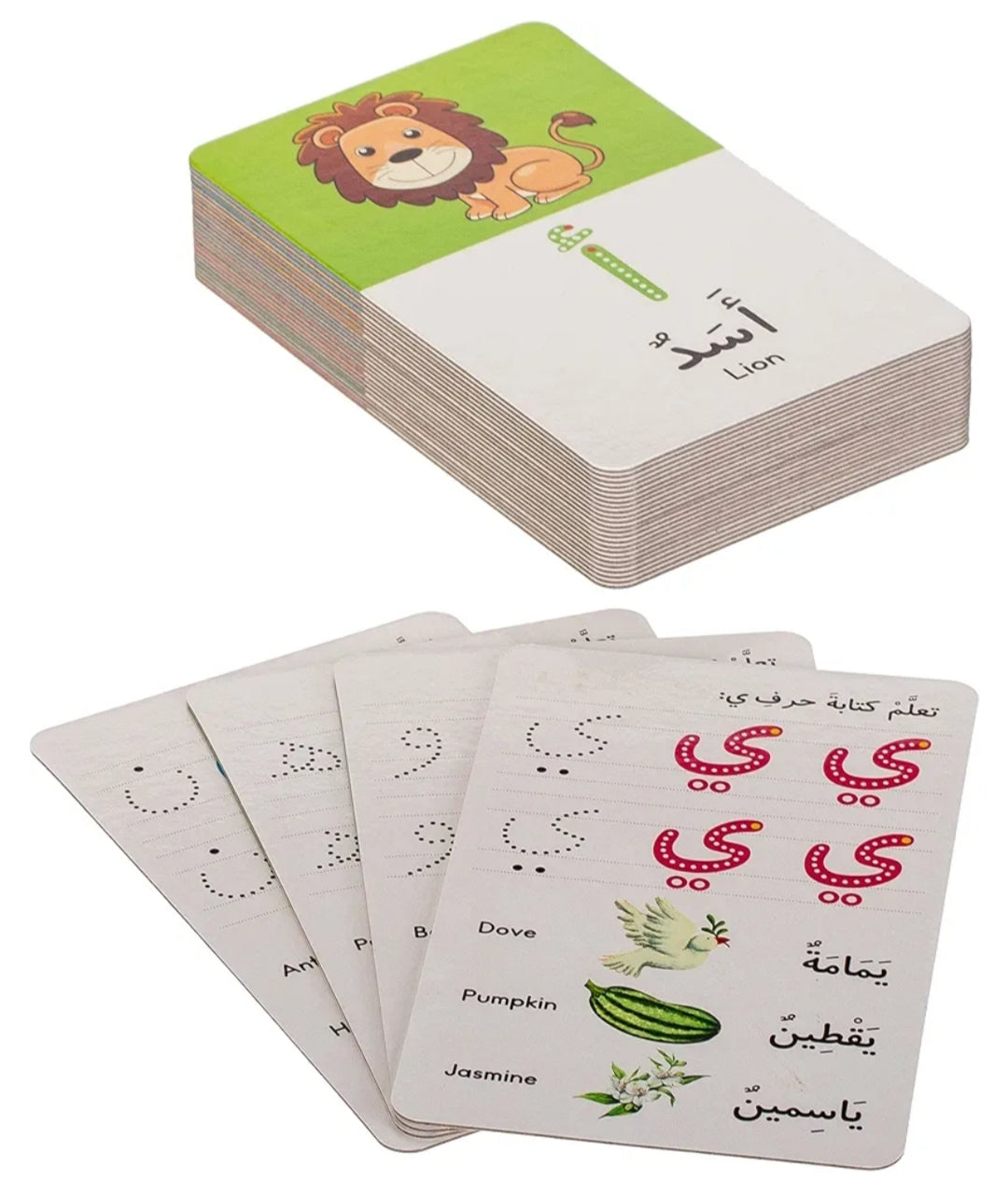 Flash Cards + Wipe-Clean Pen/بطاقات لتعلم الكلمات العربية