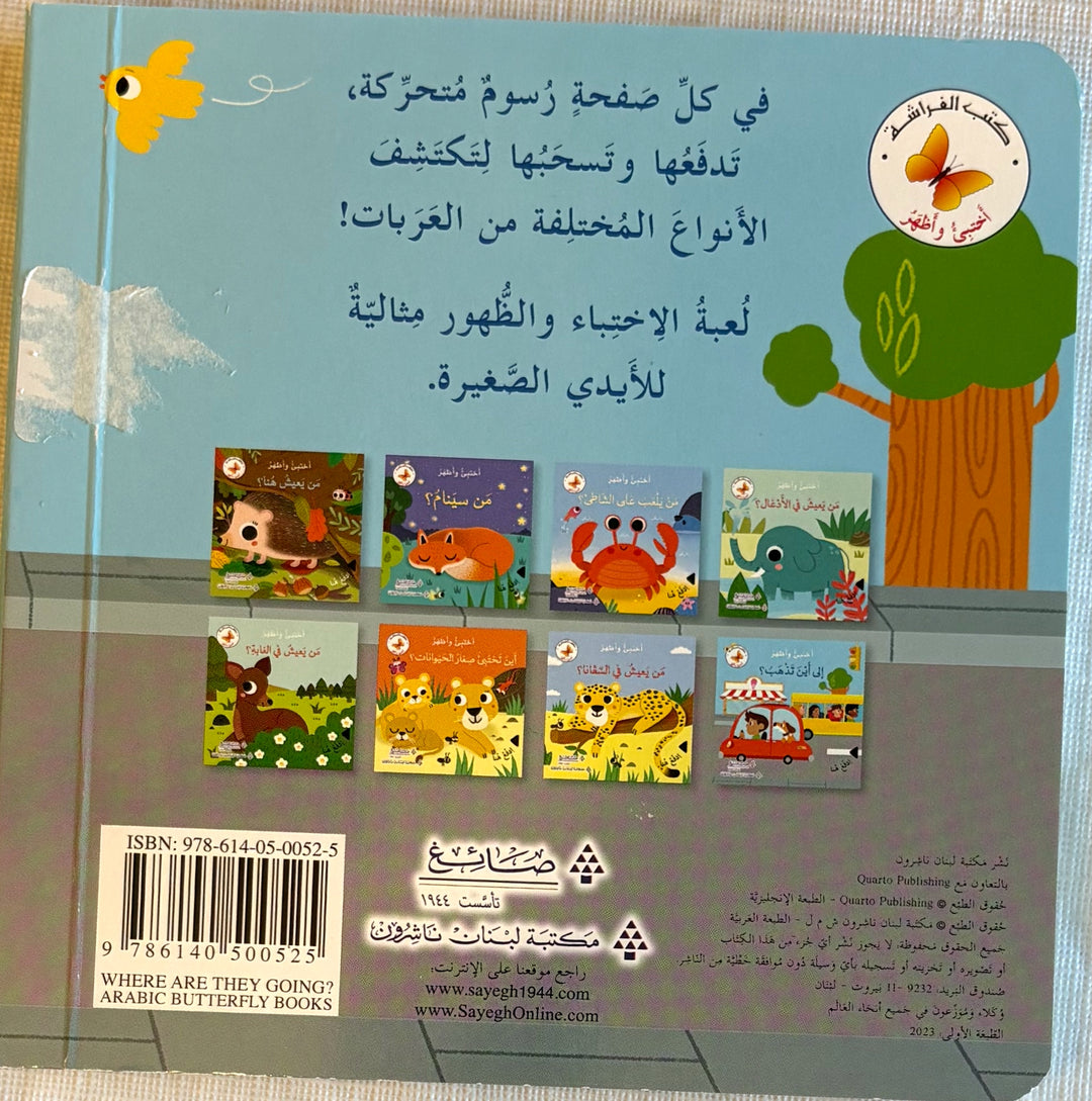 Hide&Seek -  Where Do They Go ? / الي أين تذهب ؟