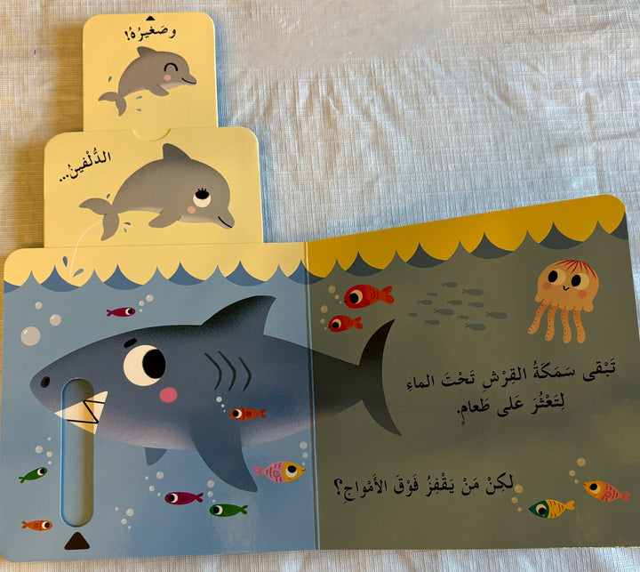 Hide&Seek- Who Plays on the Beach ? / من يلعب على الشاطئ؟