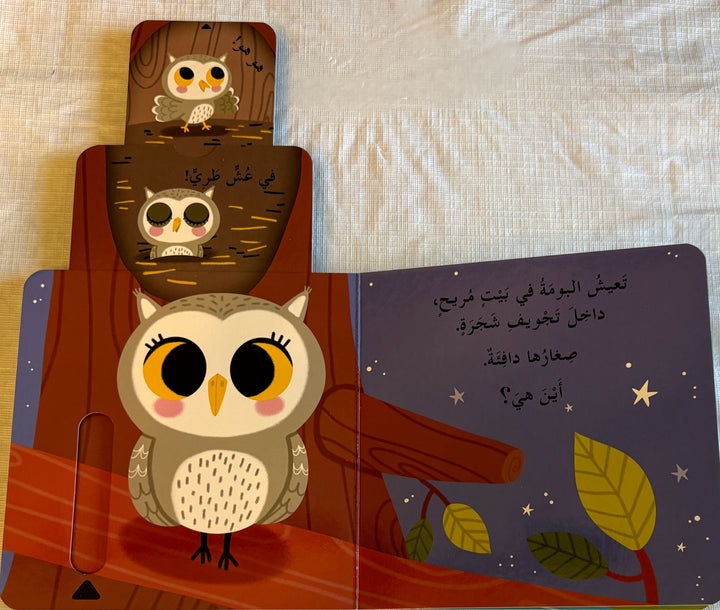من يعيش في الغابة؟ - سلسلة اختبئ واظهر