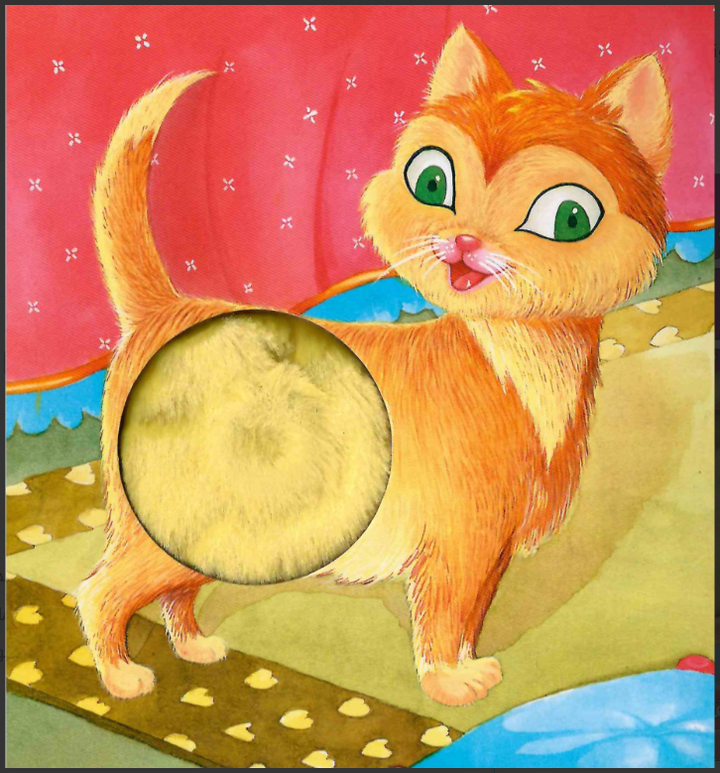 This board book allows children to feel and touch different textures while learning more about these lovable animals.
