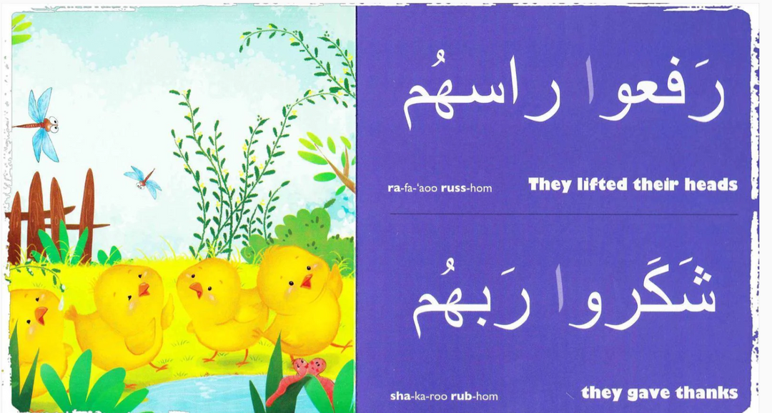 These Chicks /هالصيصان