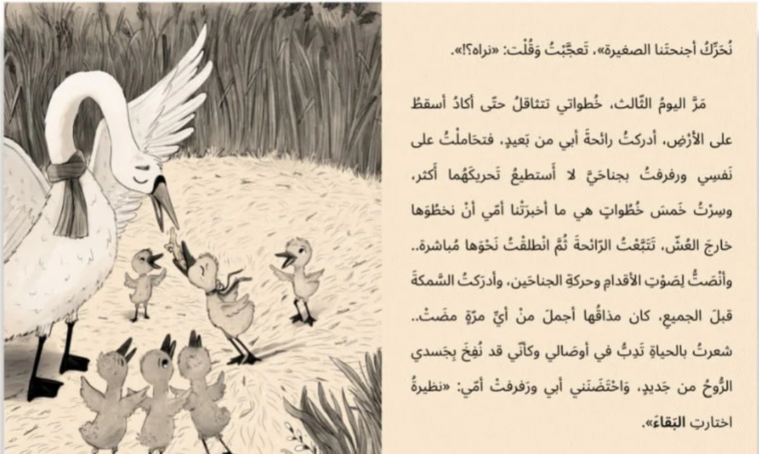 A Swan in The Flamingo Lake /بجعة في بحيرة الفلامنجو