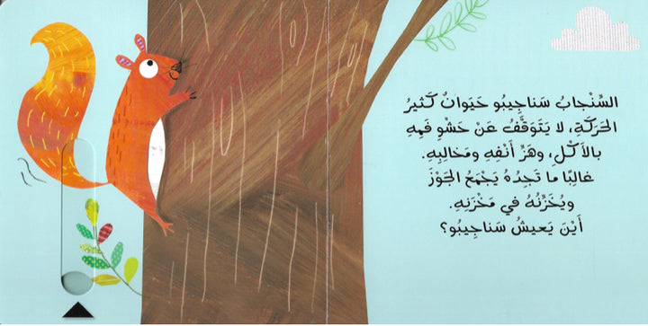 Home in the trees/ بيوت في الشجر