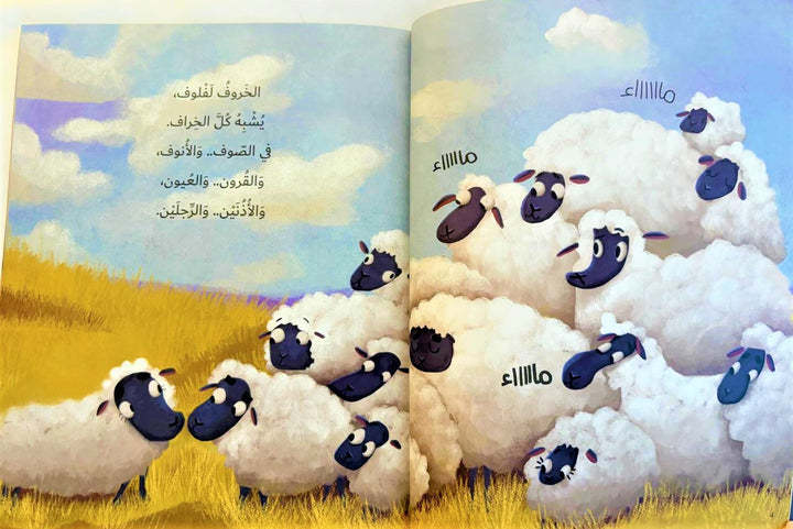 Laflouf is an inquisitive sheep who loves to search and explore. He goes out with the shepherd and the sheep every day to graze on dry land that has a small amount of grass. One day Laflouf runs away… Where did Laflouf go?