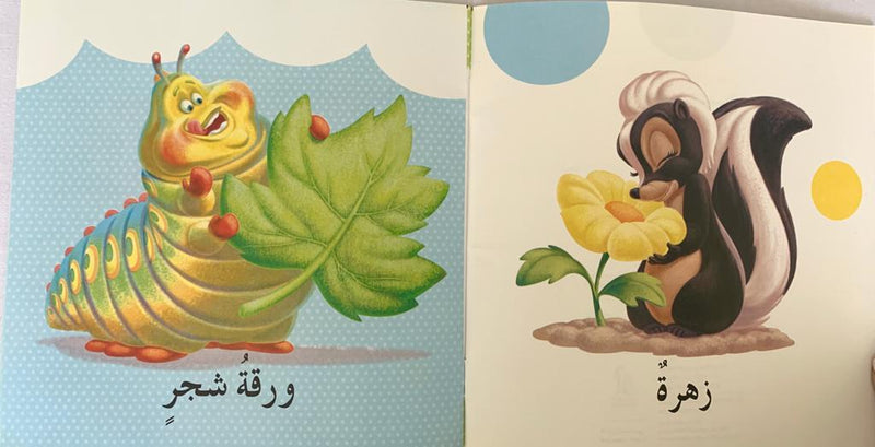 Nature/ كتابي الأول عن الطبيعة
