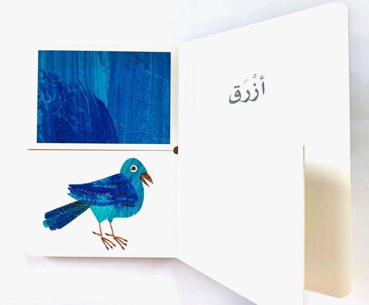 The Colors/ الألوان