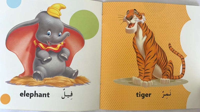 Wild Animals/ الحيوانات البرية
