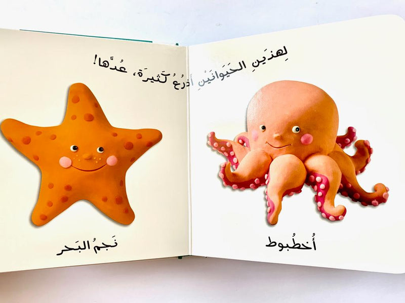 The Sea/ البحر