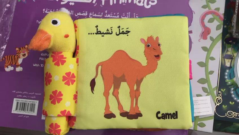 Energetic Camel/ جمل نشيط