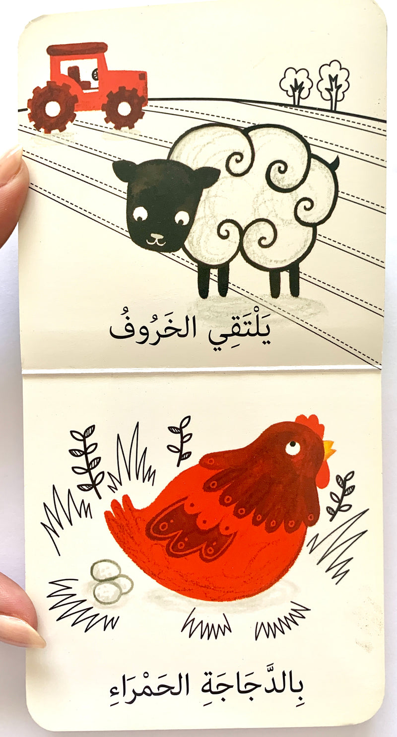 The Young Sheep/ الحمل الصغير