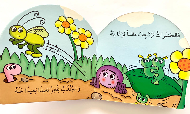 The Spider Katkout/ العنكبوت كتكوت