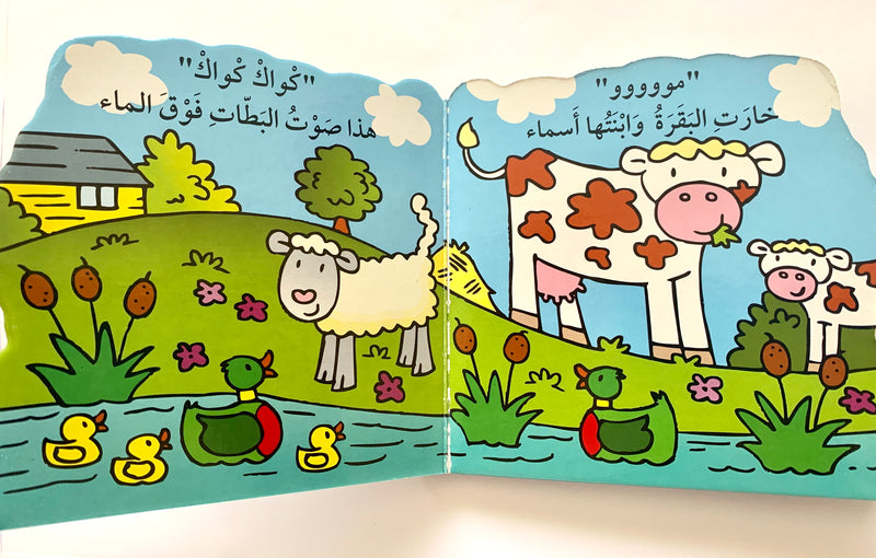 The Lamb Lenny/ الحمل لينى