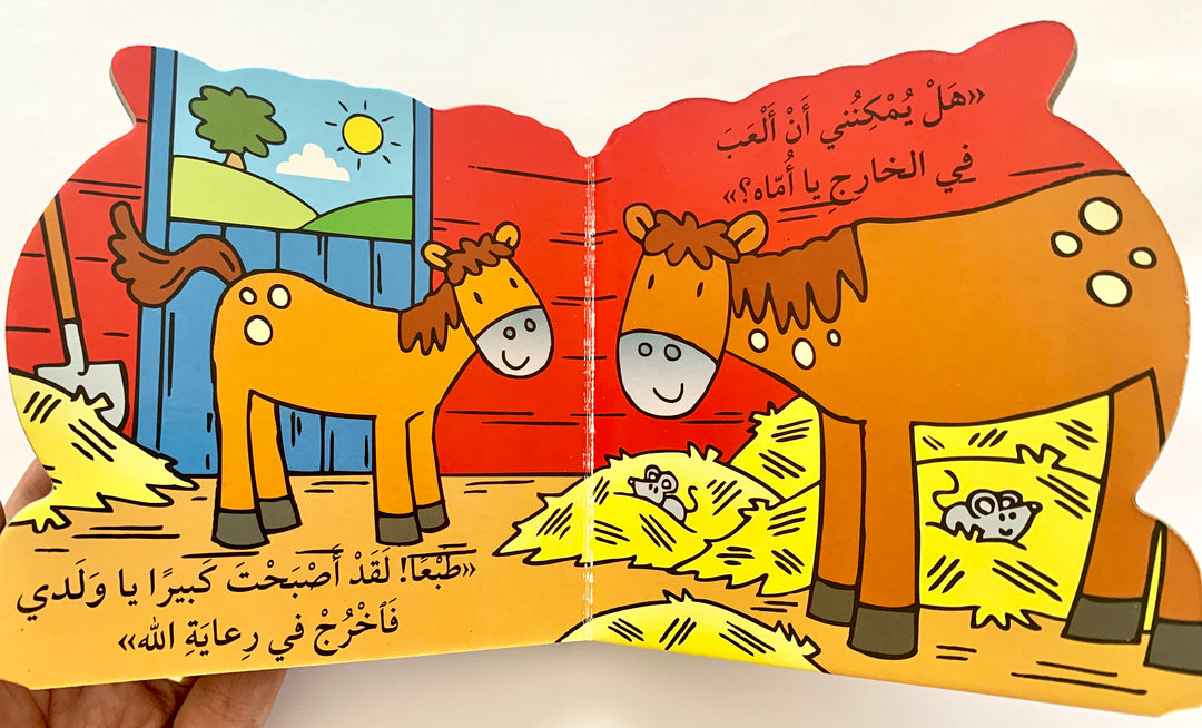 The Pony Farid/ المهر فريد