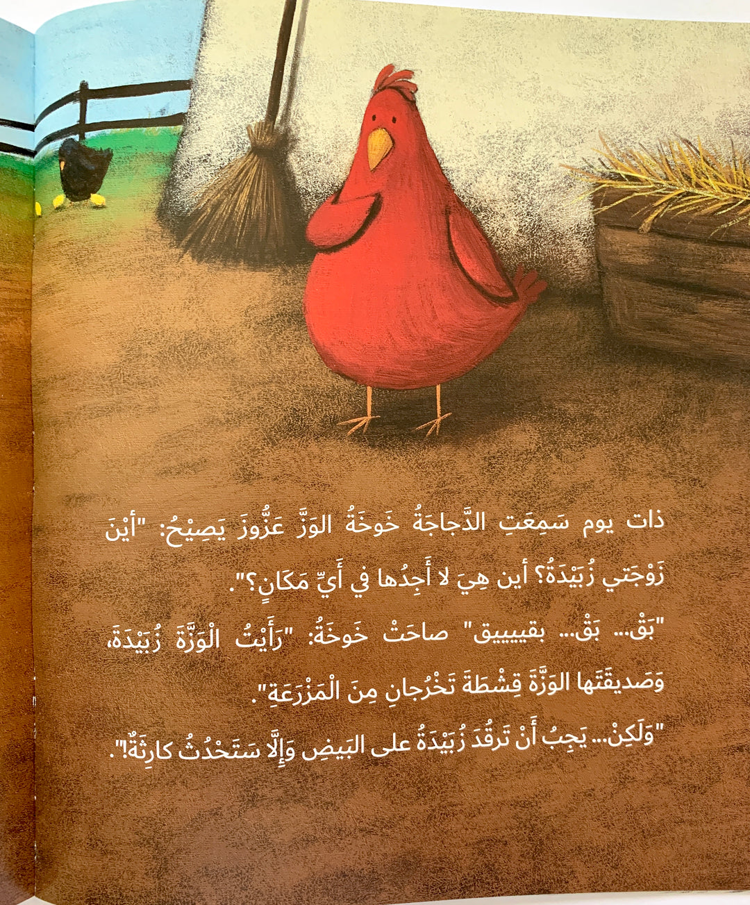 The chicken that doesn't lay eggs/ دجاجة لا تبيض