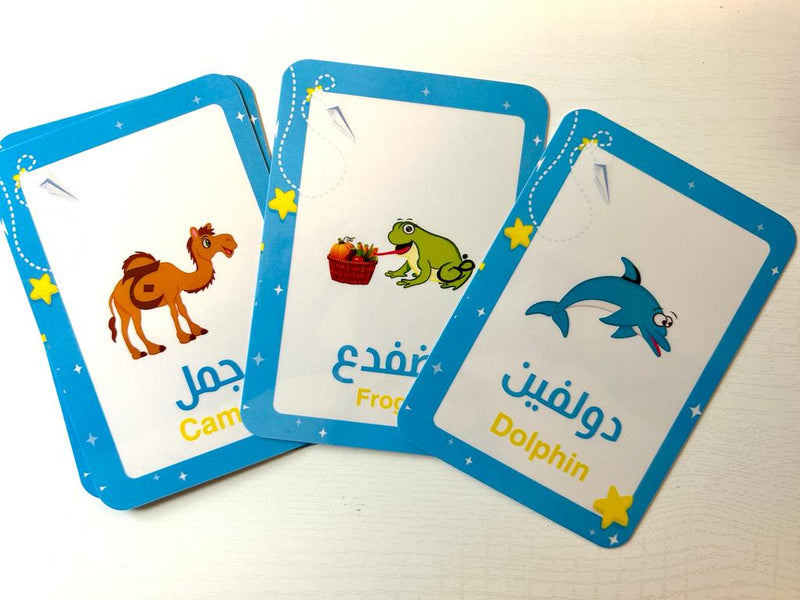 Arabic Alphabet Flash Cards/ الكروت الشقية لحروف اللغة العربية