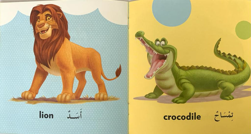 Wild Animals/ الحيوانات البرية