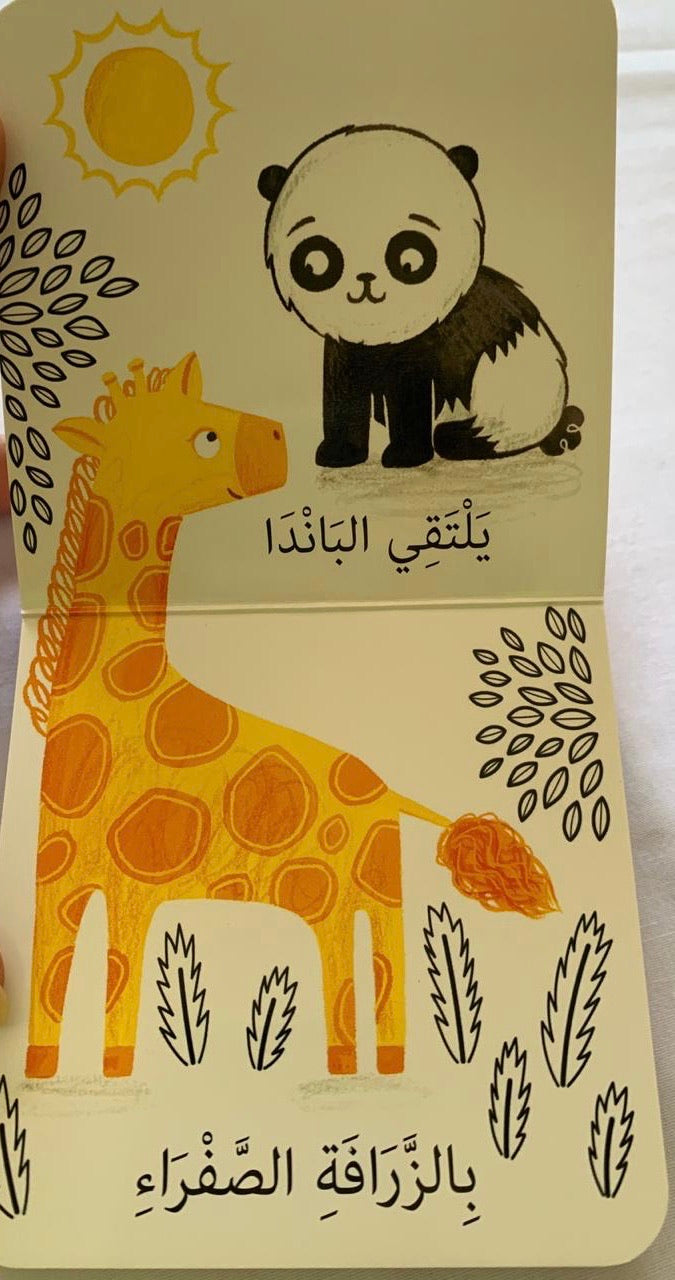 The Young Panda/ الباندا الصغير