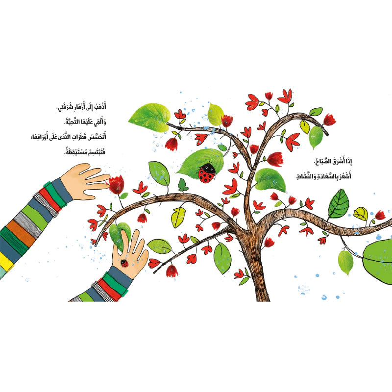 My Hands/ يداي