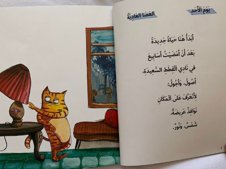 Where is the magic wand?/ أين هي العصا السحرية؟