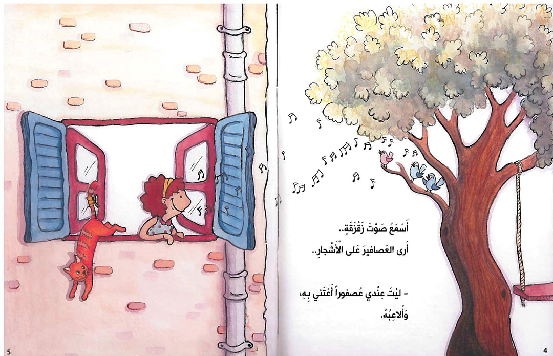 من نافذتي / From My Window